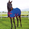 Weatherbeeta Foal Standard Neck Turnout 1200 Denier (RRP Â£52.99)